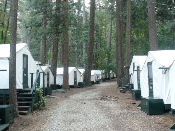 Tiendas de campaña del campamento Curry Village (Half Dome Village)